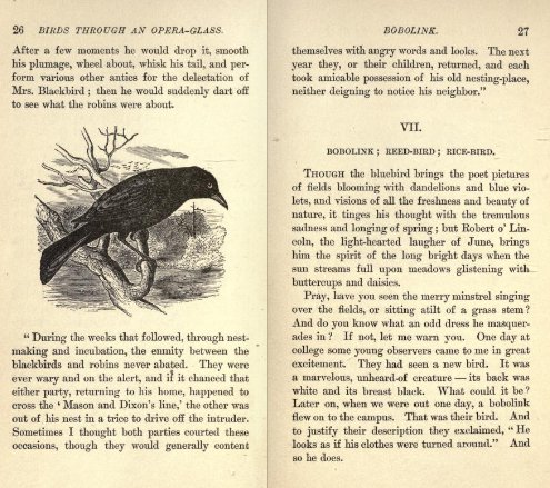 Pages from Bailey’s Birds Through an Opera-Glass